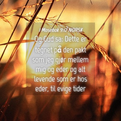 Picture 04 - 1 Mosebok 9:12 NORSK - Og Gud sa: Dette er tegnet på den pakt som jeg - Bible Verse Picture