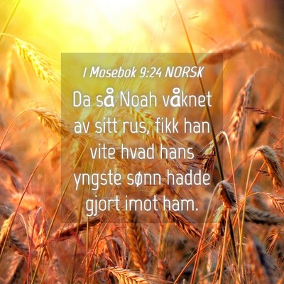 Picture 04 - 1 Mosebok 9:24 NORSK - Da så Noah våknet av sitt rus, fikk han vite - Bible Verse Picture