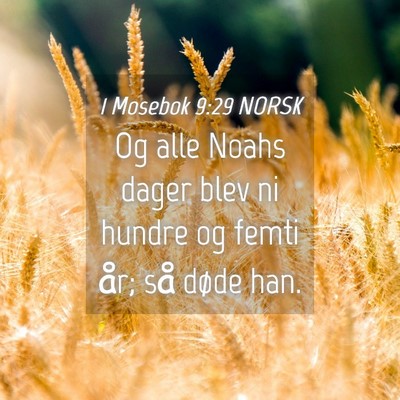 Picture 04 - 1 Mosebok 9:29 NORSK - Og alle Noahs dager blev ni hundre og femti år; - Bible Verse Picture