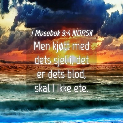 Picture 04 - 1 Mosebok 9:4 NORSK - Men kjøtt med dets sjel i, det er dets blod, - Bible Verse Picture