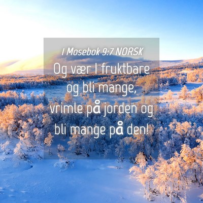 Picture 04 - 1 Mosebok 9:7 NORSK - Og vær I fruktbare og bli mange, vrimle på - Bible Verse Picture