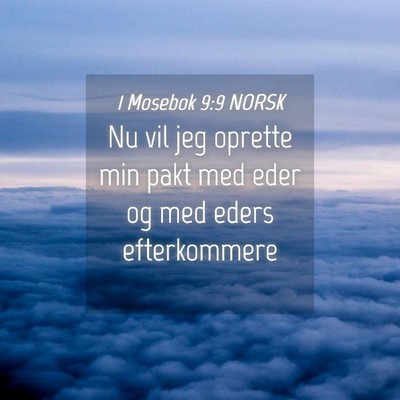 Picture 04 - 1 Mosebok 9:9 NORSK - Nu vil jeg oprette min pakt med eder og med eders - Bible Verse Picture