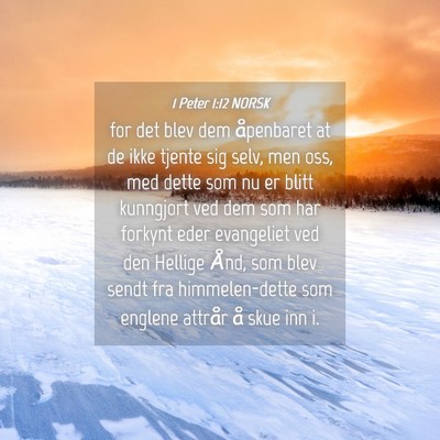 Picture 04 - 1 Peter 1:12 NORSK - for det blev dem åpenbaret at de ikke tjente sig - Bible Verse Picture