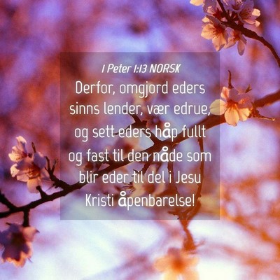 Picture 04 - 1 Peter 1:13 NORSK - Derfor, omgjord eders sinns lender, vær edrue, - Bible Verse Picture