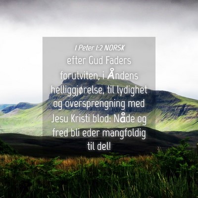 Picture 04 - 1 Peter 1:2 NORSK - efter Gud Faders forutviten, i Åndens - Bible Verse Picture