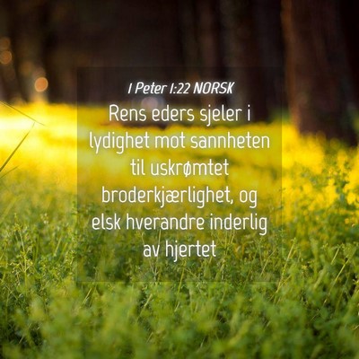 Picture 04 - 1 Peter 1:22 NORSK - Rens eders sjeler i lydighet mot sannheten til - Bible Verse Picture