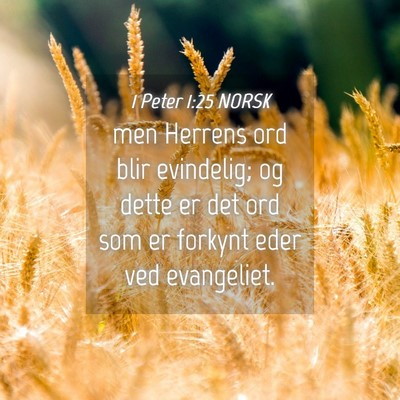 Picture 04 - 1 Peter 1:25 NORSK - men Herrens ord blir evindelig; og dette er det - Bible Verse Picture