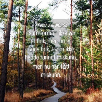 Picture 04 - 1 Peter 2:10 NORSK - I som fordum ikke var et folk, men nu er Guds - Bible Verse Picture
