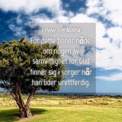 Picture 04 - 1 Peter 2:19 NORSK - For dette finner nåde, om nogen av samvittighet - Bible Verse Picture