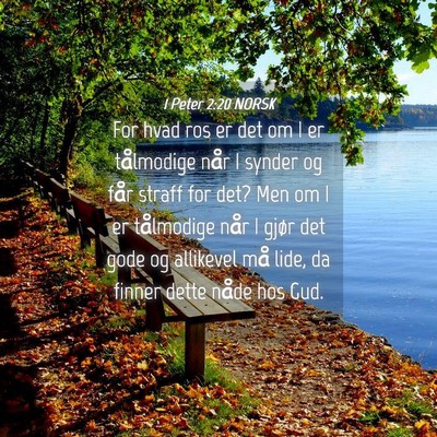 Picture 04 - 1 Peter 2:20 NORSK - For hvad ros er det om I er tålmodige når I - Bible Verse Picture