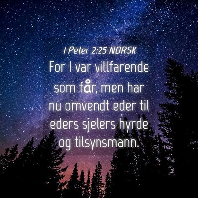 Picture 04 - 1 Peter 2:25 NORSK - For I var villfarende som får, men har nu - Bible Verse Picture