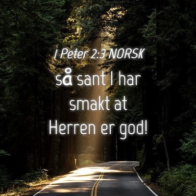 Picture 04 - 1 Peter 2:3 NORSK - så sant I har smakt at Herren er - Bible Verse Picture