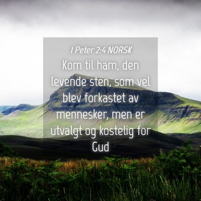 Picture 04 - 1 Peter 2:4 NORSK - Kom til ham, den levende sten, som vel blev - Bible Verse Picture