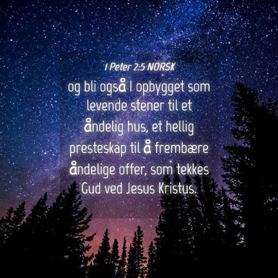 Picture 04 - 1 Peter 2:5 NORSK - og bli også I opbygget som levende stener til et - Bible Verse Picture