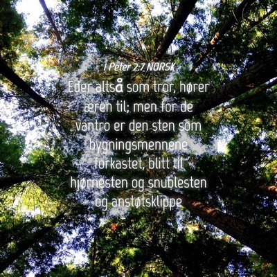 Picture 04 - 1 Peter 2:7 NORSK - Eder altså som tror, hører æren til; men for - Bible Verse Picture