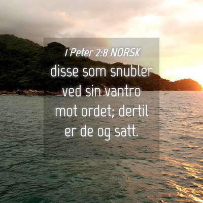 Picture 04 - 1 Peter 2:8 NORSK - disse som snubler ved sin vantro mot ordet; - Bible Verse Picture
