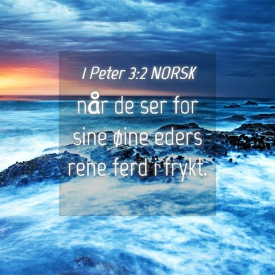 Picture 04 - 1 Peter 3:2 NORSK - når de ser for sine øine eders rene ferd i - Bible Verse Picture