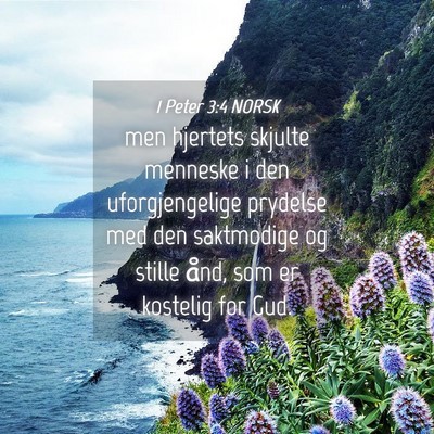 Picture 04 - 1 Peter 3:4 NORSK - men hjertets skjulte menneske i den - Bible Verse Picture