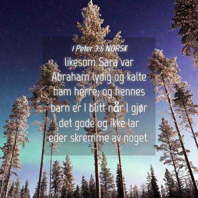 Picture 04 - 1 Peter 3:6 NORSK - likesom Sara var Abraham lydig og kalte ham - Bible Verse Picture