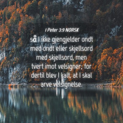 Picture 04 - 1 Peter 3:9 NORSK - så I ikke gjengjelder ondt med ondt eller - Bible Verse Picture