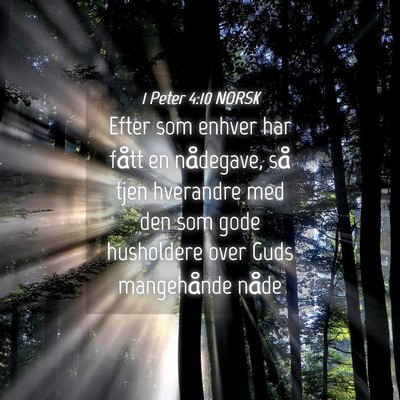 Picture 04 - 1 Peter 4:10 NORSK - Efter som enhver har fått en nådegave, så tjen - Bible Verse Picture