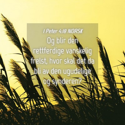 Picture 04 - 1 Peter 4:18 NORSK - Og blir den rettferdige vanskelig frelst, hvor - Bible Verse Picture