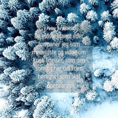 Picture 04 - 1 Peter 5:1 NORSK - De eldste blandt eder formaner jeg som medeldste - Bible Verse Picture