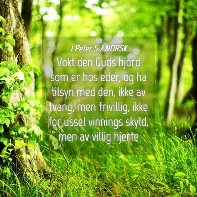 Picture 04 - 1 Peter 5:2 NORSK - Vokt den Guds hjord som er hos eder, og ha tilsyn - Bible Verse Picture
