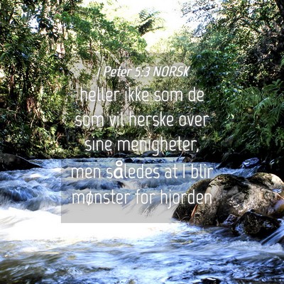 Picture 04 - 1 Peter 5:3 NORSK - heller ikke som de som vil herske over sine - Bible Verse Picture