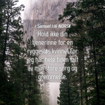 Picture 04 - 1 Samuel 1:16 NORSK - Hold ikke din tjenerinne for en ryggesløs - Bible Verse Picture