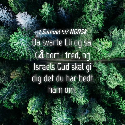 Picture 04 - 1 Samuel 1:17 NORSK - Da svarte Eli og sa: Gå bort i fred, og Israels - Bible Verse Picture