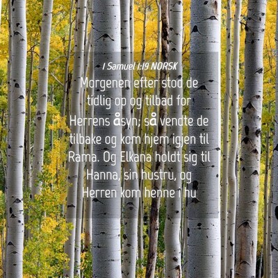 Picture 04 - 1 Samuel 1:19 NORSK - Morgenen efter stod de tidlig op og tilbad for - Bible Verse Picture