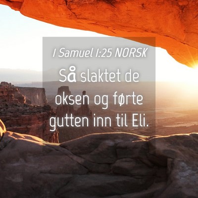 Picture 04 - 1 Samuel 1:25 NORSK - Så slaktet de oksen og førte gutten inn til - Bible Verse Picture