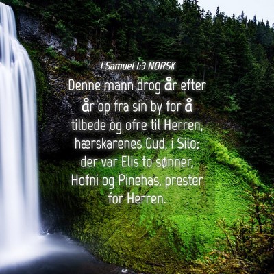 Picture 04 - 1 Samuel 1:3 NORSK - Denne mann drog år efter år op fra sin by for - Bible Verse Picture