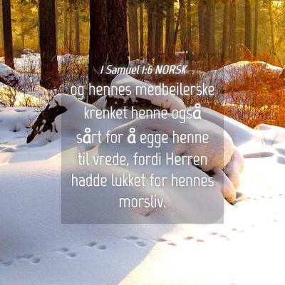 Picture 04 - 1 Samuel 1:6 NORSK - og hennes medbeilerske krenket henne også sårt - Bible Verse Picture