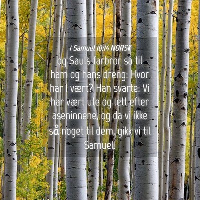 Picture 04 - 1 Samuel 10:14 NORSK - og Sauls farbror sa til ham og hans dreng: Hvor - Bible Verse Picture