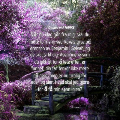 Picture 04 - 1 Samuel 10:2 NORSK - Når du idag går fra mig, skal du møte to menn - Bible Verse Picture