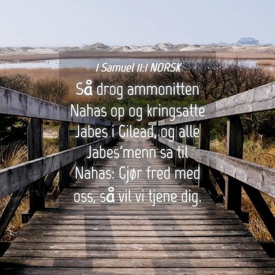 Picture 04 - 1 Samuel 11:1 NORSK - Så drog ammonitten Nahas op og kringsatte Jabes - Bible Verse Picture