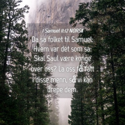 Picture 04 - 1 Samuel 11:12 NORSK - Da sa folket til Samuel: Hvem var det som sa: - Bible Verse Picture