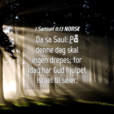 Picture 04 - 1 Samuel 11:13 NORSK - Da sa Saul: På denne dag skal ingen drepes; for - Bible Verse Picture
