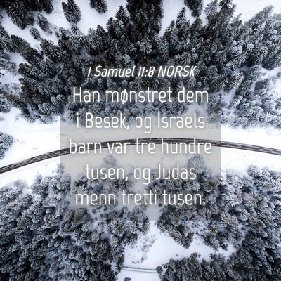 Picture 04 - 1 Samuel 11:8 NORSK - Han mønstret dem i Besek, og Israels barn var - Bible Verse Picture