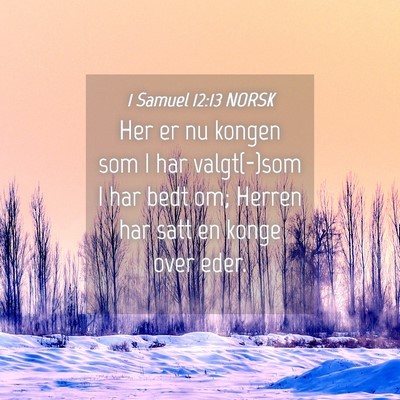 Picture 04 - 1 Samuel 12:13 NORSK - Her er nu kongen som I har valgt(-)som I har bedt - Bible Verse Picture