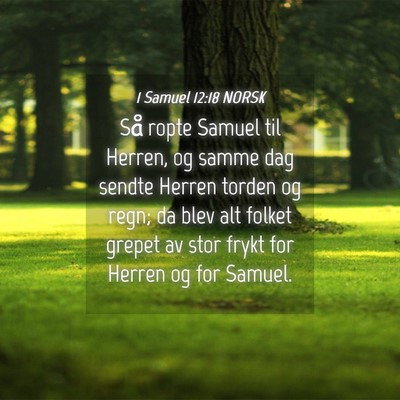 Picture 04 - 1 Samuel 12:18 NORSK - Så ropte Samuel til Herren, og samme dag sendte - Bible Verse Picture