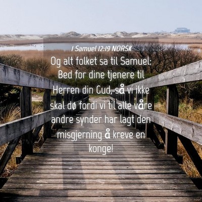 Picture 04 - 1 Samuel 12:19 NORSK - Og alt folket sa til Samuel: Bed for dine tjenere - Bible Verse Picture