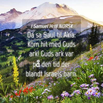 Picture 04 - 1 Samuel 14:18 NORSK - Da sa Saul til Akia: Kom hit med Guds ark! Guds - Bible Verse Picture