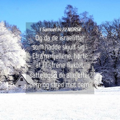 Picture 04 - 1 Samuel 14:22 NORSK - Og da de israelitter som hadde skjult sig i - Bible Verse Picture