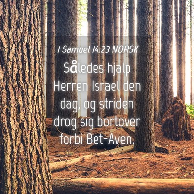 Picture 04 - 1 Samuel 14:23 NORSK - Således hjalp Herren Israel den dag, og striden - Bible Verse Picture