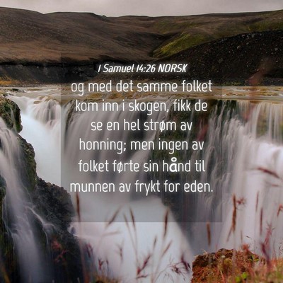 Picture 04 - 1 Samuel 14:26 NORSK - og med det samme folket kom inn i skogen, fikk de - Bible Verse Picture
