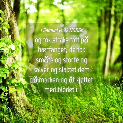 Picture 04 - 1 Samuel 14:32 NORSK - og tok straks fatt på hærfanget; de tok småfe - Bible Verse Picture