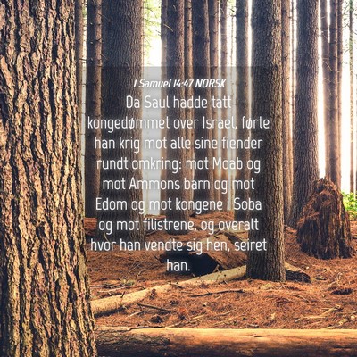 Picture 04 - 1 Samuel 14:47 NORSK - Da Saul hadde tatt kongedømmet over Israel, - Bible Verse Picture